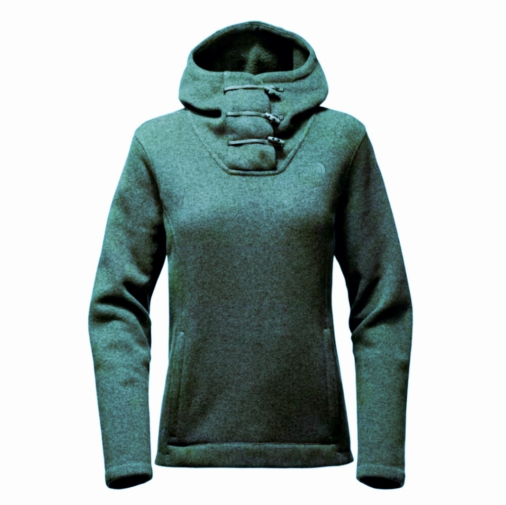 The North Face Crescent Hooded Fleece Pullover